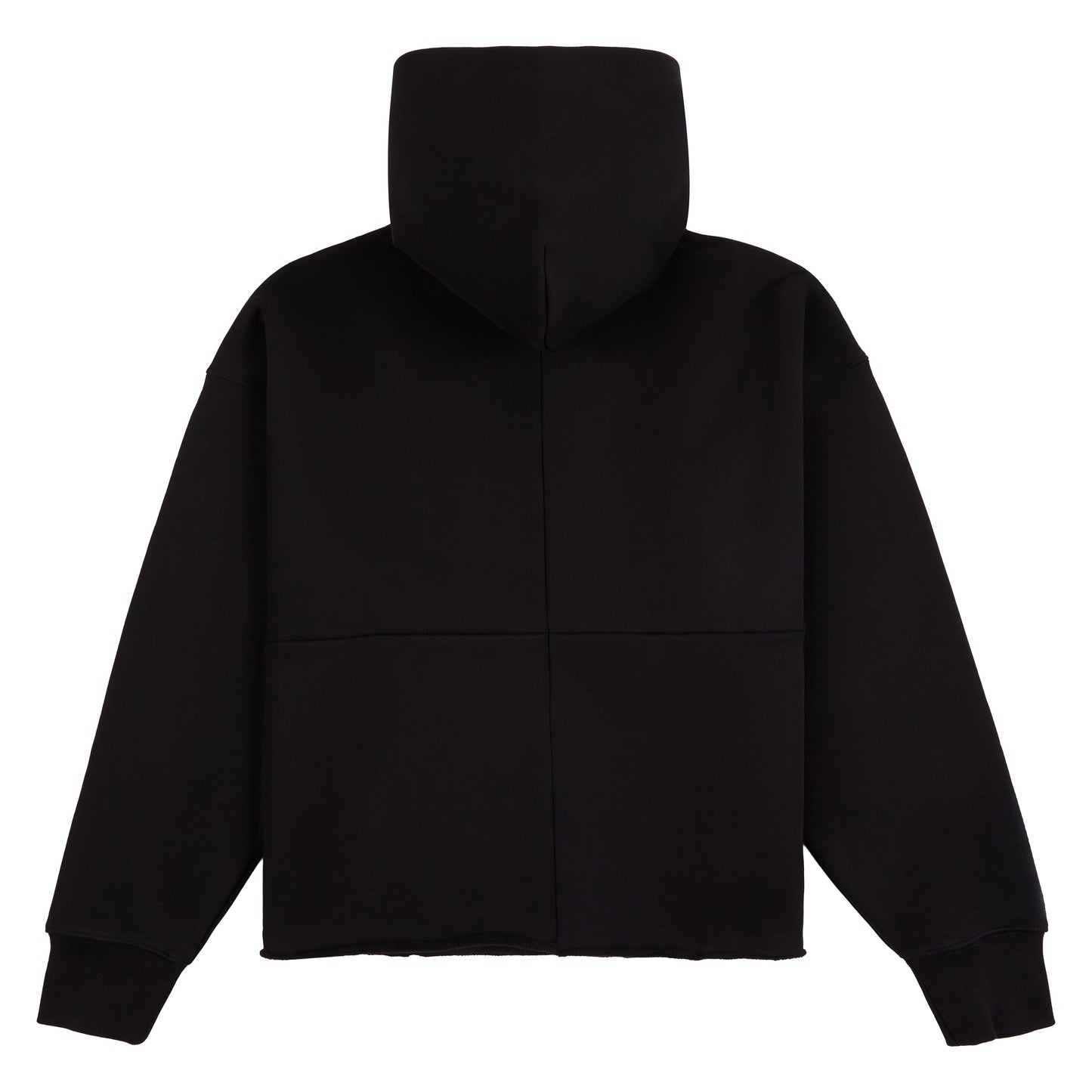 Iced Logo Hoodie