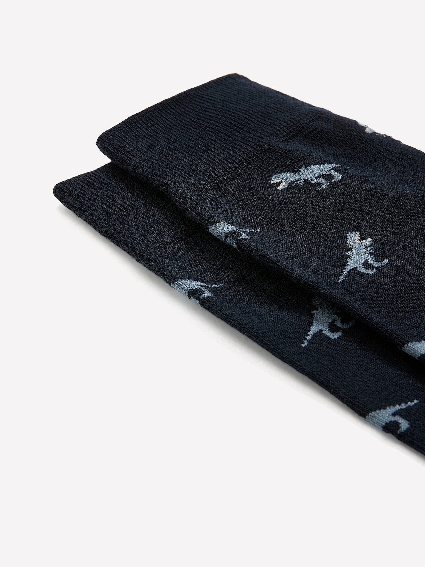 Dinosaur Socks