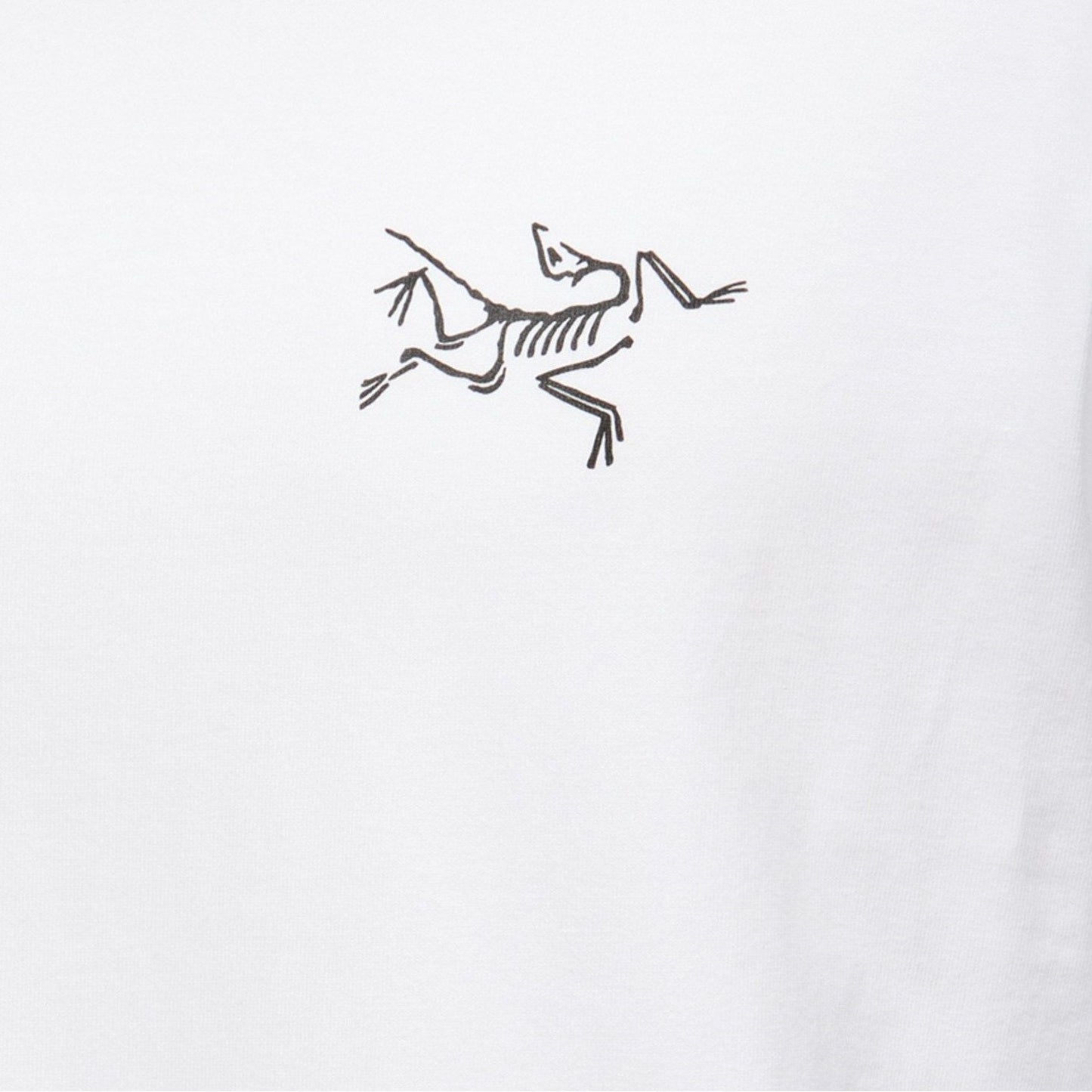 Arc'teryx Men's Kragg Cotton Long Sleeve T-Shirt